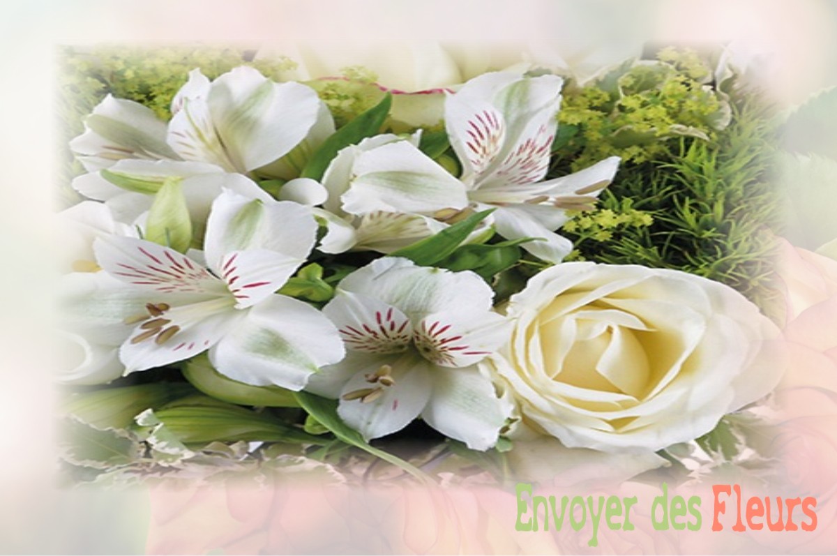envoyer des fleurs à à SAINT-ETIENNE-DES-OULLIERES